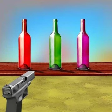 3d Bottle Shooter